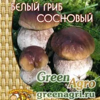 Мицелий Белый гриб сосновый (60мл.)