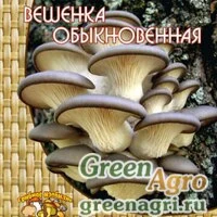 Мицелий Вешенка обыкновенная (12шт.)