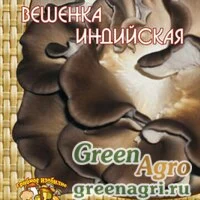 Мицелий Вешенка Индийская (12 шт.)