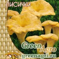 Мицелий Лисички (60мл.)