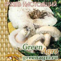 Мицелий Груздь настоящий или Белый груздь (60мл.)