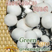 Мицелий Шампиньон белый (60 мл.)