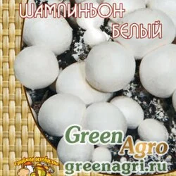 Мицелий Шампиньон белый (60 мл.)