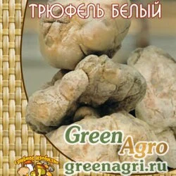 Мицелий Трюфель белый или итальянский (60 мл.)