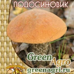 Мицелий Подосиновик (60 мл.)