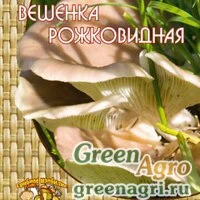 Мицелий Вешенка рожковидная (12шт.)