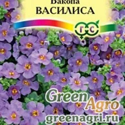Семена пакетированные Бакопа Василиса Гавриш Ц