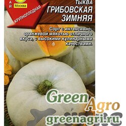 Семена пакетированные Тыква Грибовская зимняя Аэлита Ц x10