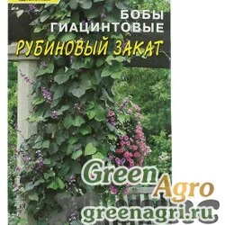 Семена пакетированные Бобы Рубиновый закат Гиацинт. ЦветСад Ц