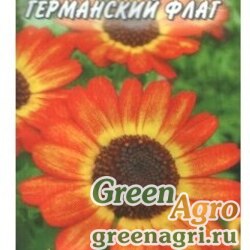 Семена пакетированные Хризантема Германский флаг НК Ц