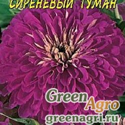Семена пакетированные Циния Сиреневый Туман Цвет.сад Ц