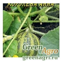 Семена пакетированные Огурдыня Королева Анна Цвет.садх10