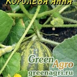 Семена пакетированные Огурдыня Королева Анна Цвет.садх10