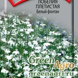 Семена Лобелия плетистая Белый фонтан  (упак-50 гр.)