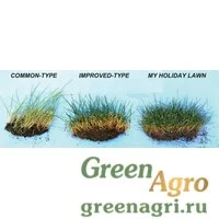Мятлик луговой My Holiday Lawn (22,68 кг)