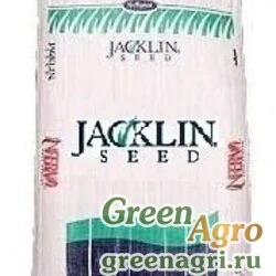 Смесь райграсов Jacklin Seed (22,68 кг)