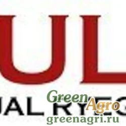 Райграс однолетний Gulf (22,68 кг)