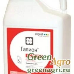 Галион, ВР