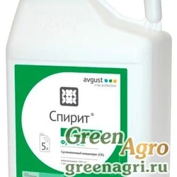 Спирит, СК