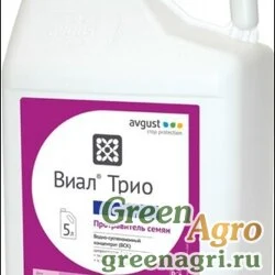 Виал Трио, ВСК