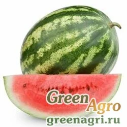 Семена Арбуз Волгоградец КРС 90 (банка-500гр) (инкруст,сем) , Агрофирма Поиск-Профи