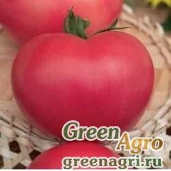 Семена Томат Волгоградские зори(1уп-25 гр) , Агрофирма Поиск-Профи