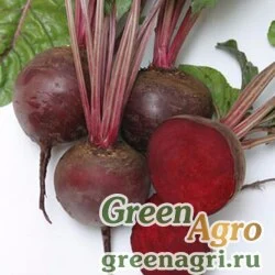 Семена Свекла столовая Бордо 237 (1уп-1кг)(фракция 3-4 мм)
