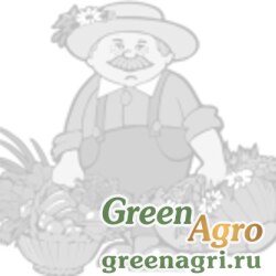 Семена Арбуз Быковский 22 (банка-500гр) (инкруст,сем) , Агрофирма Поиск-Профи