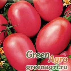 Семена Томат Новичок розовый(1уп-50гр)