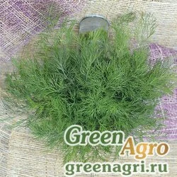 Семена Укроп Император (1уп-50гр)