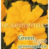 Семена Бархатцы отклоненные Дуранго Еллоу 1000шт