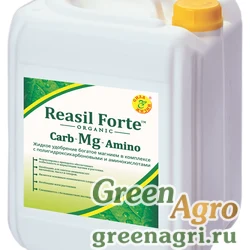 Reasil Forte Carb-Mg-Amino (Реасил Форте Карб-Mg-Амино)