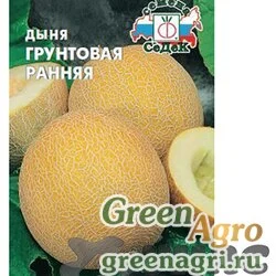 Семена пакетированные Дыня Грунтовая ранняя Седек Ц /10 шт