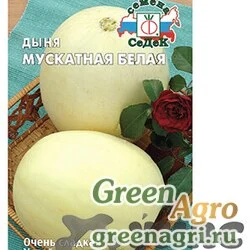 Семена пакетированные Дыня Мускатная белая Седек Ц