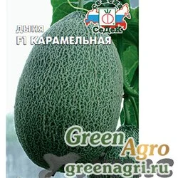 Семена пакетированные Дыня Карамельная Седек Ц /10 шт