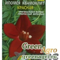 Семена пакетированные Ипомея Квамоклит Красная Плазма Ц