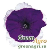 Семена Петуния мультифлора Мерлин Блю Пикоти 1000драже