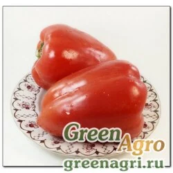 Семена Перец сладкий Руслан  (упак-50 гр.)