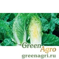 Семена Суприн F1 2,5 тыс. семян, Syngenta