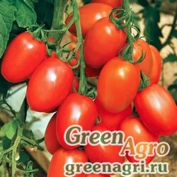 Семена Томат Де Барао (упак-50 гр.)