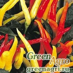 Перец летний (Capsicum annuum) "Medusa" raw 100 шт.