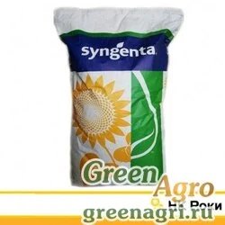 Семена Подсолнечник, НК Роки, 1 п.е., Syngenta