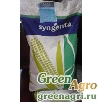 Семена Кукуруза, Фалькон, 1 п.е., Syngenta