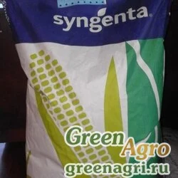Семена Кукуруза, Фалькон, 1 п.е., Syngenta