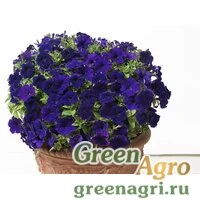 Семена Петуния ампельная гибридная (Petunia x hybrida) "Baby Gioconda F1" (blue) raw 1000 шт.