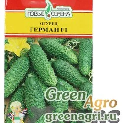 Огурец Герман (5шт) НС