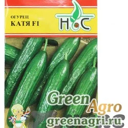 Огурец Катя НС