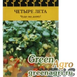Земляника Искушение Поиск Ц