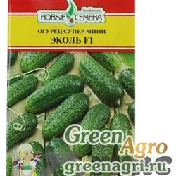 Огурец Эколь НС