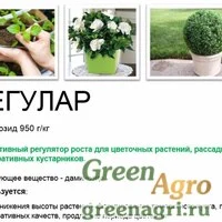 Регулар, Даминозид 950 г/кг